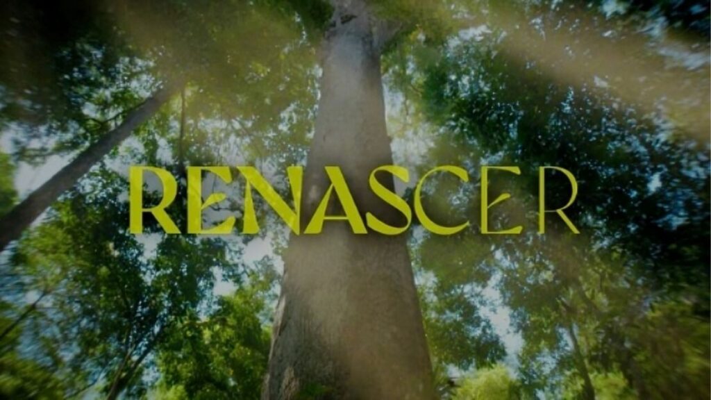 Confira o resumo de todos os capítulos de Renascer (2024)