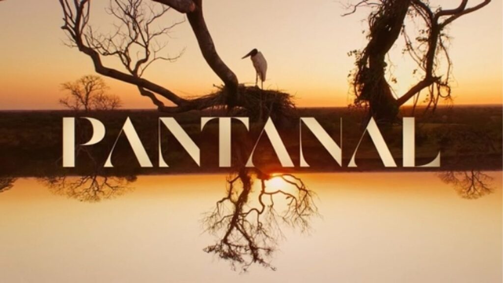Confira o resumo de todos os capítulos de Pantanal (2022)